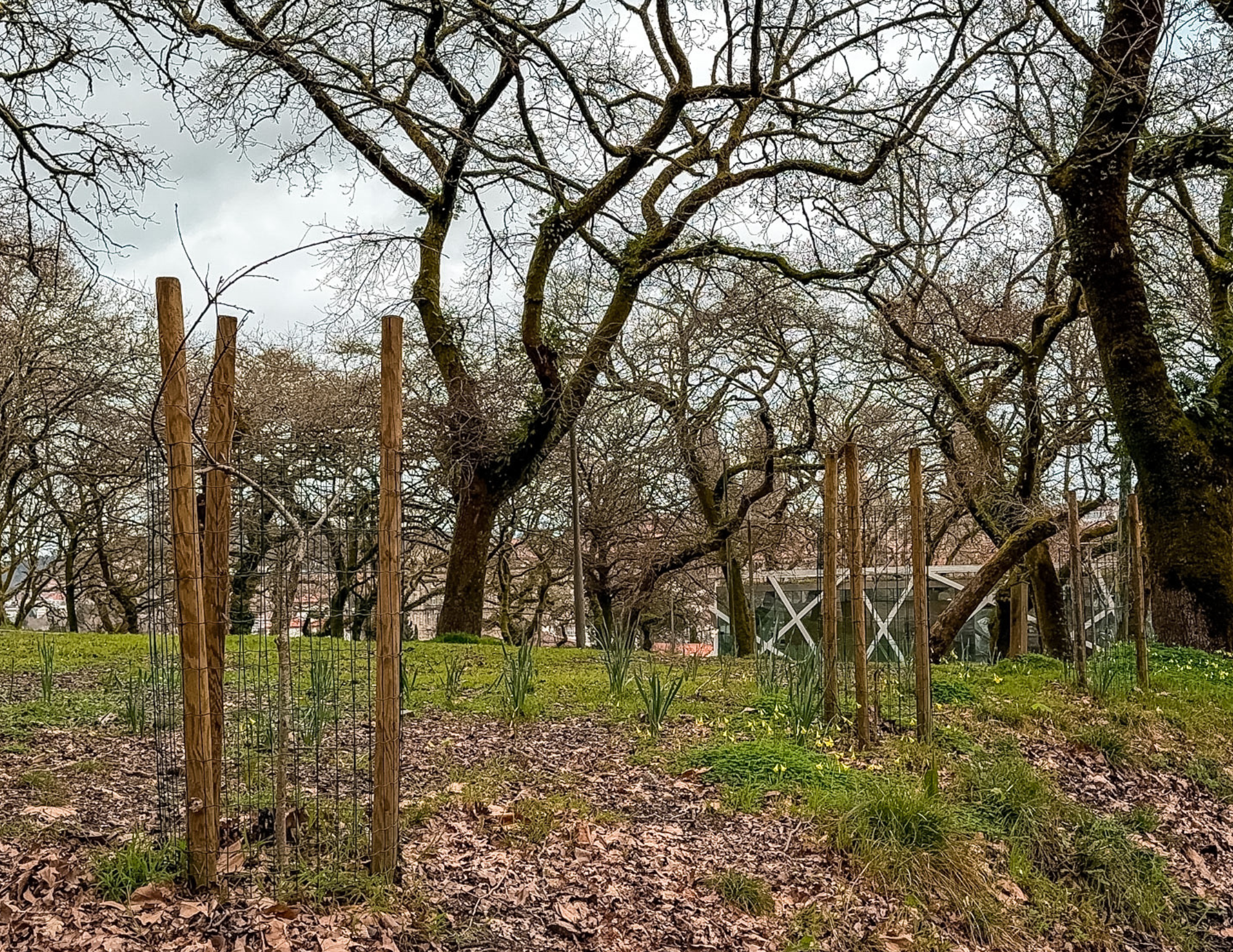 Alameda Park in Santiago de Compostela (11).png